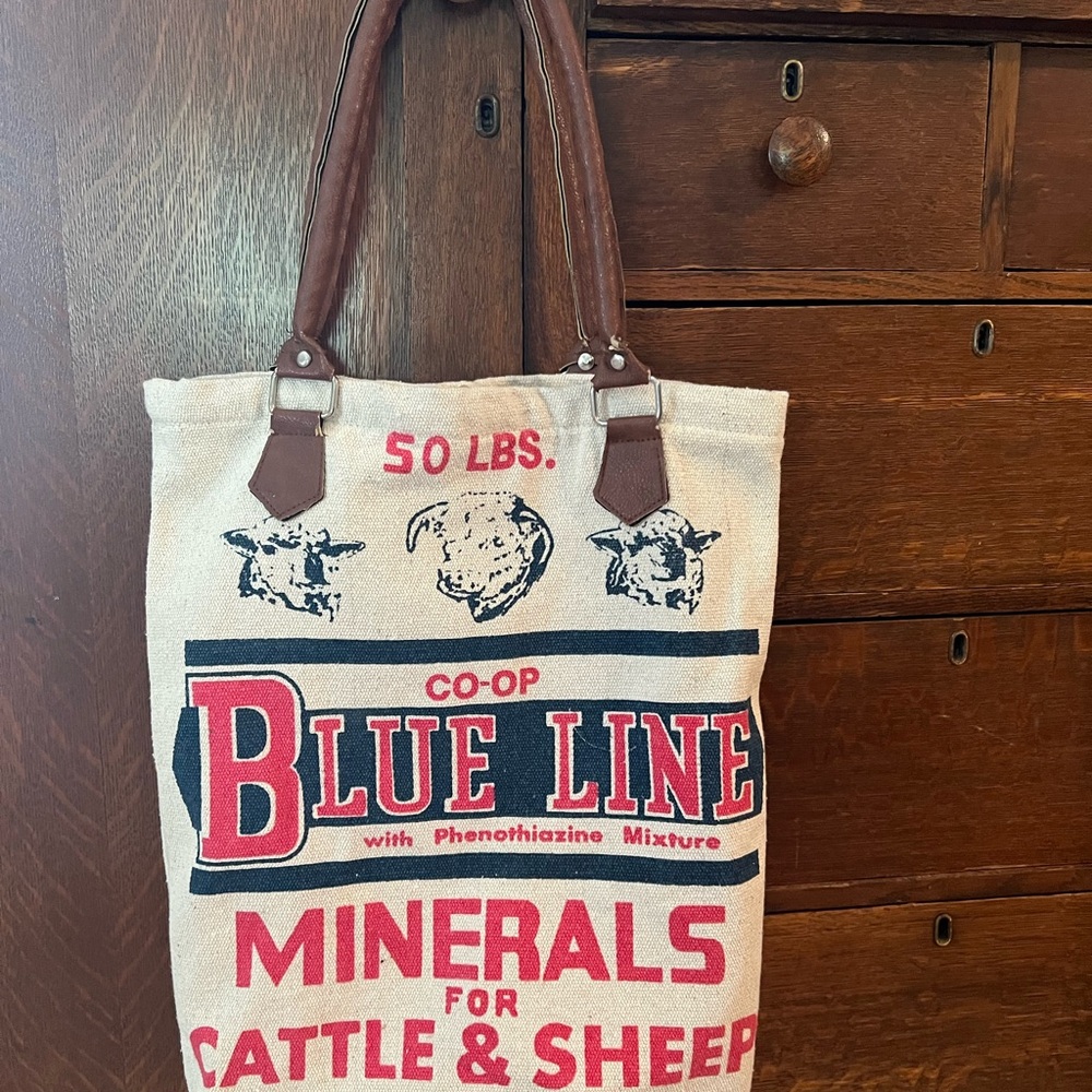 Rustic Blue and Red Tote with Vintage Graphics